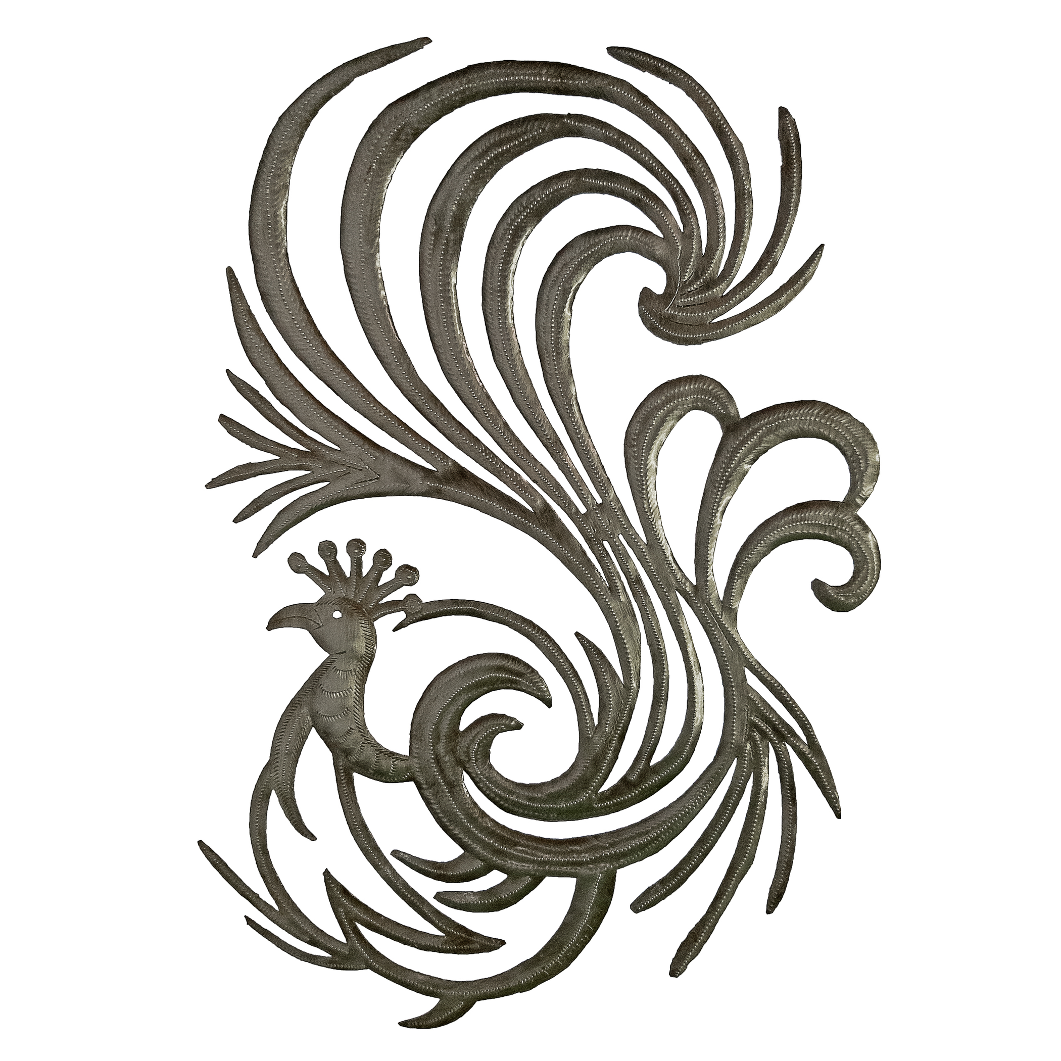 Peacock Contour
