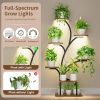 Modern 49-inch Tall Indoor Plant Stand Display Shelf with Grow Lights