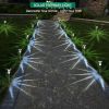 10-Pack Solar Pathway Lights â€“ Waterproof Stainless Steel