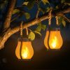 Hompavo Gen2 Solar Lanterns Outdoor Waterproof with Realistic Flickering Flame, Dual Charging (USB/Solar) & 2 Modes - Decorative Hanging/Table Lights