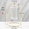 Glass Tube Vase Hydroponics Planter with Metal Frame Creative Flower Planter for Home Office Decor for Tulips Roses and Branches Unique Present Idea