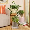 8" Rose Pink Stripe Ceramic Planter