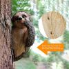 Sloth Tree Hugger, Spring Outdoor Decorations, Resin Garden Sculpture Ornament, Tree Peeker Statue, Garden Decor Sloth Gifts for Housewarming, Handmad