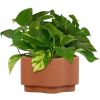 8in Gemeni Terra Planter, Terracotta