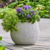 13 inch Resin Moon Planter Luna Planter - Durable Weather-Resistant Pot