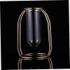 Glass Tube Vase Hydroponics Planter with Metal Frame Creative Flower Planter for Home Office Decor for Tulips Roses and Branches Unique Present Idea