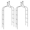 Garden Arches 2 pcs Black 47.2"x15"x102.4" Steel