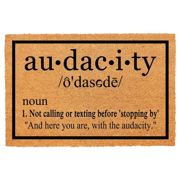 Heavy Duty Natural Coir Welcome Doormat for Front Porch Entryway, Non-Slip Durable Outdoor Mat with Funny Housewarming Gift Design