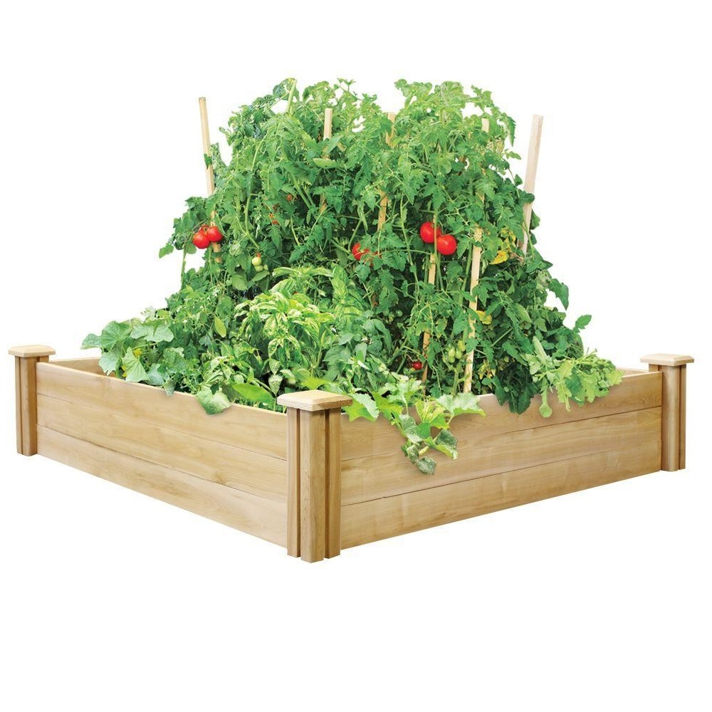 Cedar Raised Garden Bed - Made in USA (size: 4 Ft X 4 Ft X 10.5 In)