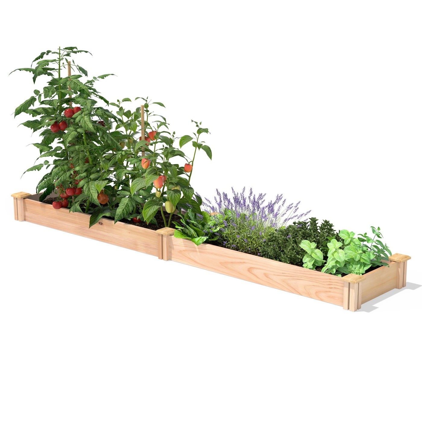 Low Profile Cedar Raised Garden Bed - Made In USA (size: 16 In X48 In)