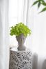 Greek Style Cement Head Planter - Indoor Outdoor Home Garden Decor, D7" x 11"